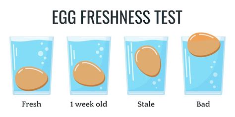 egg float test for salmonella